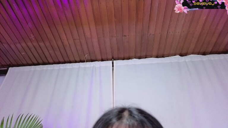 SophiexBunny's Streamate show and profile