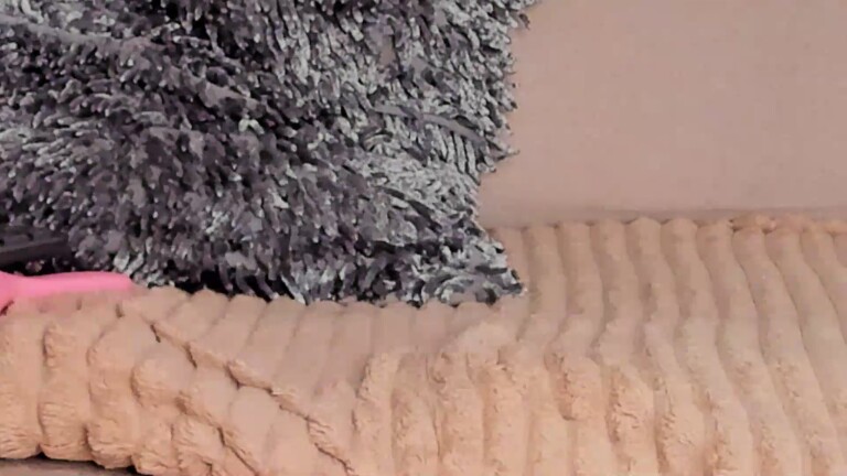 PaulettePetty's Streamate show and profile